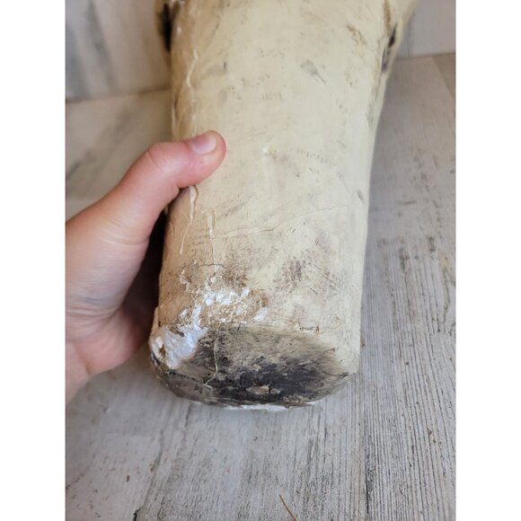 Skull large foam AS IS head Halloween prop home decor bowl unique - Picture 10 of 15